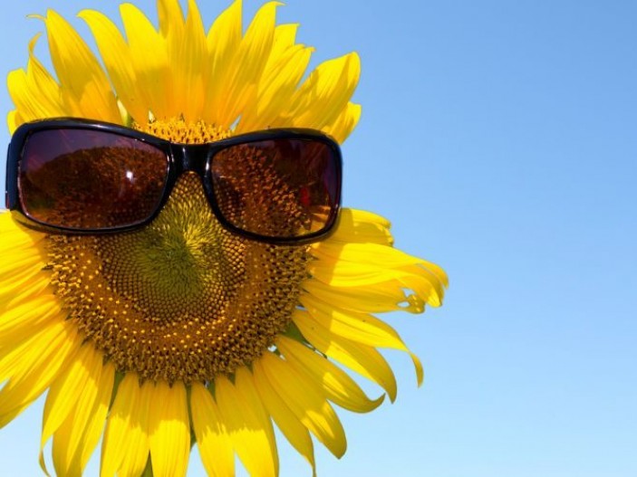 Infiinity New Products June Hero Image Canva